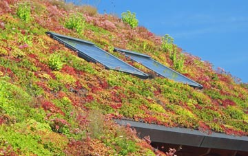 Church Lawton living roof systems